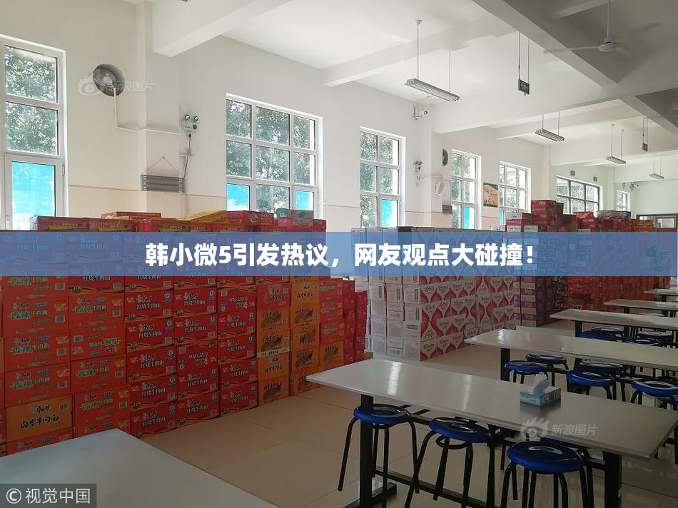 韩小微5引发热议，网友观点大碰撞！