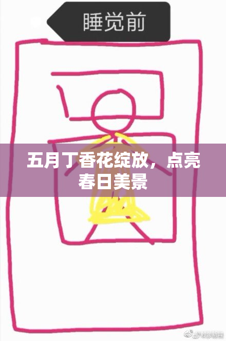 五月丁香花绽放，点亮春日美景
