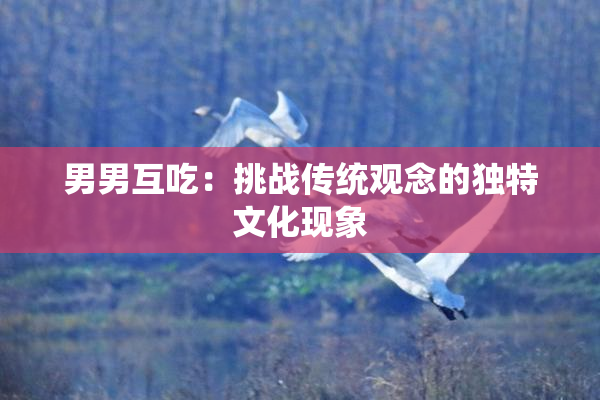 男男互吃：挑战传统观念的独特文化现象