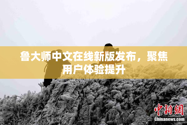 鲁大师中文在线新版发布，聚焦用户体验提升
