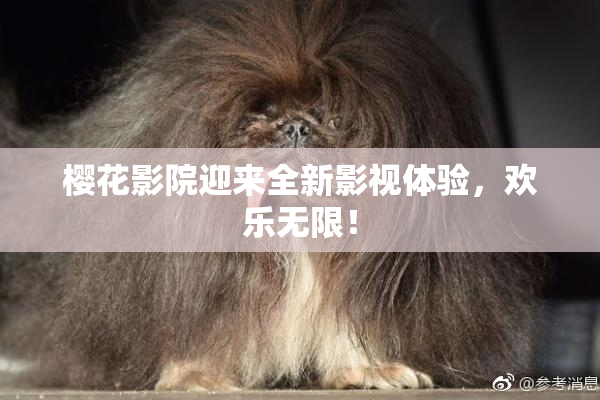 樱花影院迎来全新影视体验，欢乐无限！
