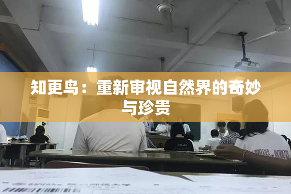 知更鸟：重新审视自然界的奇妙与珍贵