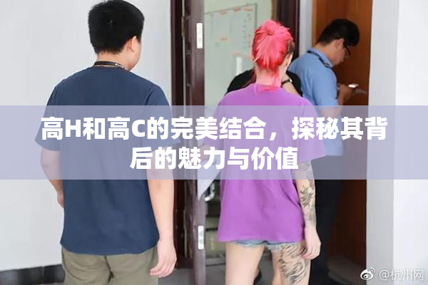高H和高C的完美结合，探秘其背后的魅力与价值