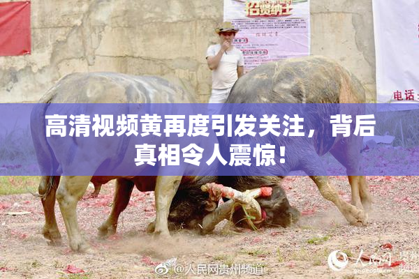 高清视频黄再度引发关注，背后真相令人震惊！