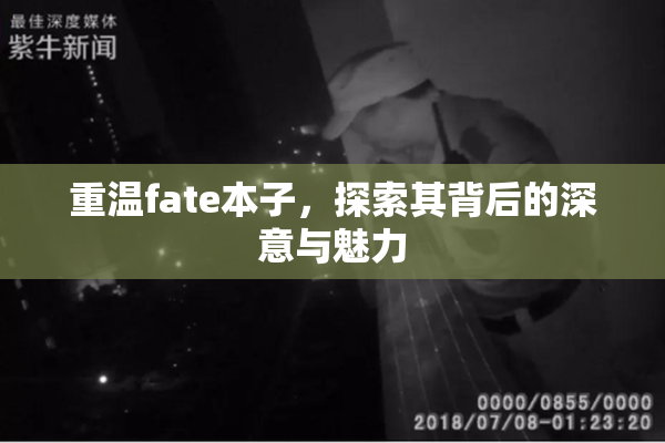 重温fate本子，探索其背后的深意与魅力