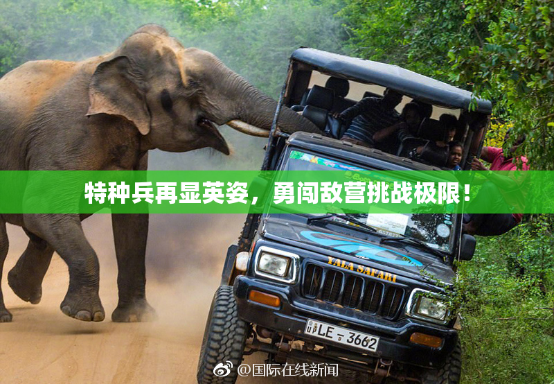 特种兵再显英姿，勇闯敌营挑战极限！