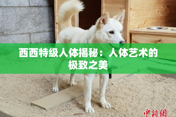 西西特级人体揭秘：人体艺术的极致之美