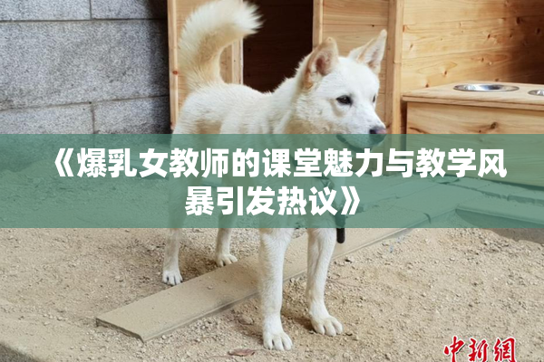 《爆乳女教师的课堂魅力与教学风暴引发热议》