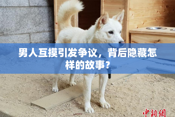 男人互摸引发争议，背后隐藏怎样的故事？