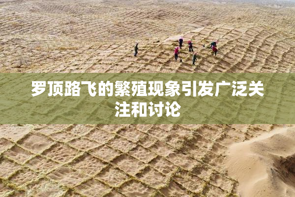 罗顶路飞的繁殖现象引发广泛关注和讨论