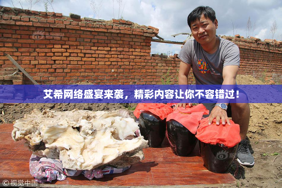 艾希网络盛宴来袭，精彩内容让你不容错过！