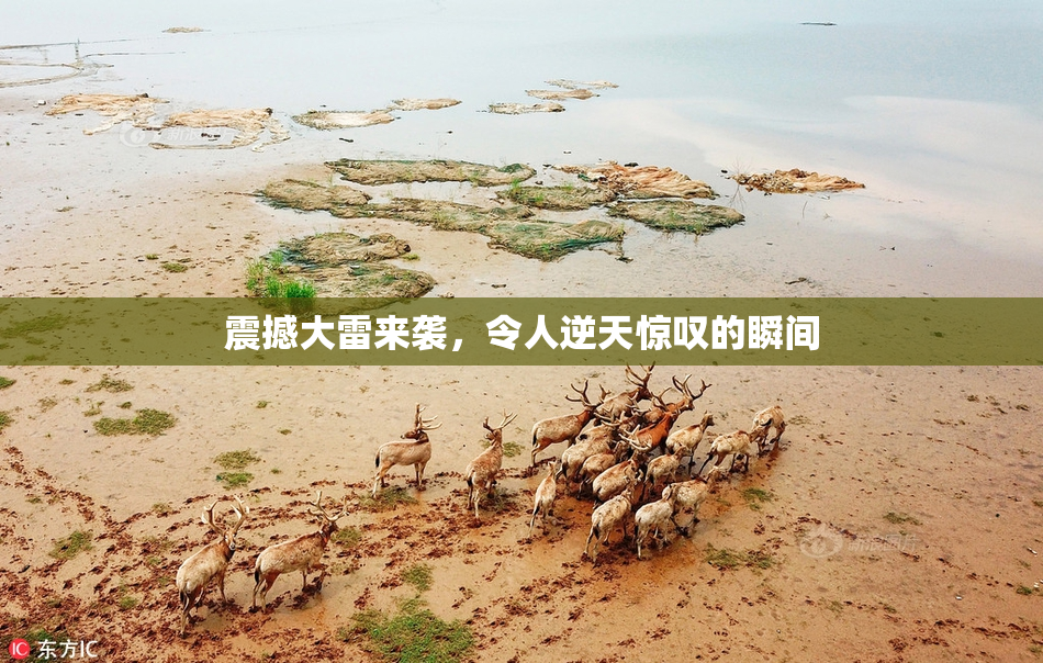 震撼大雷来袭，令人逆天惊叹的瞬间