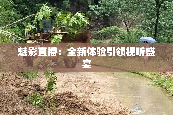 魅影直播：全新体验引领视听盛宴
