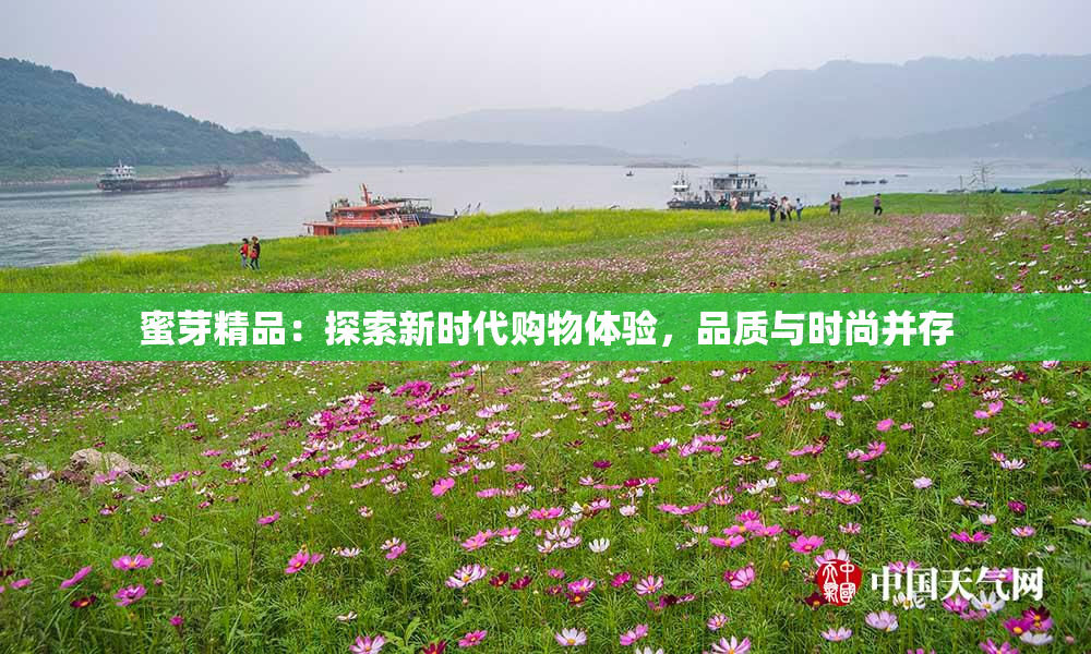 蜜芽精品：探索新时代购物体验，品质与时尚并存