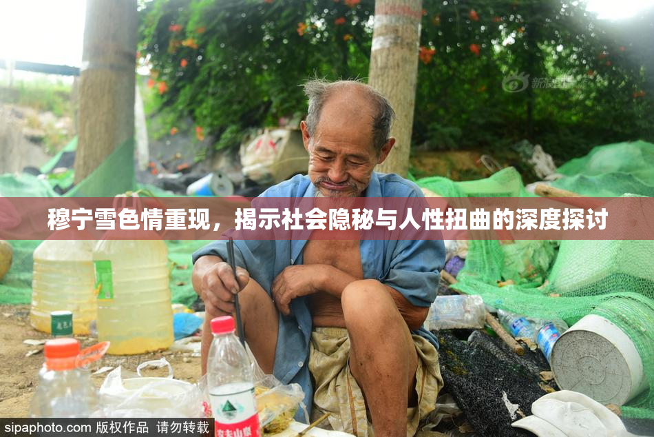 穆宁雪色情重现，揭示社会隐秘与人性扭曲的深度探讨