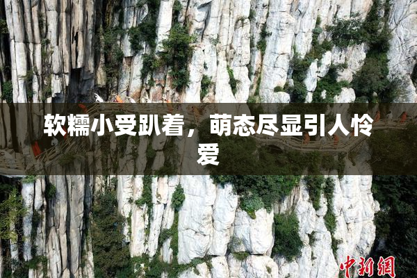 软糯小受趴着，萌态尽显引人怜爱