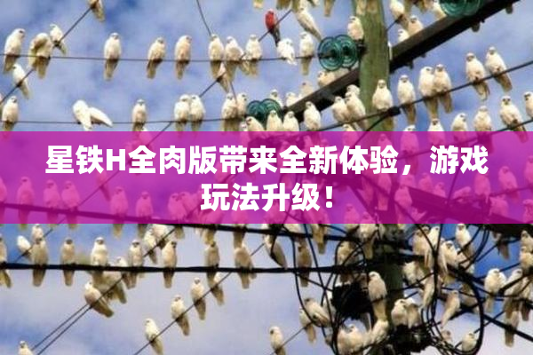 星铁H全肉版带来全新体验，游戏玩法升级！