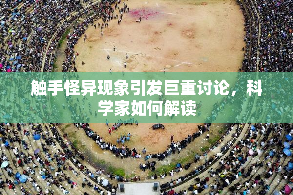 触手怪异现象引发巨重讨论，科学家如何解读