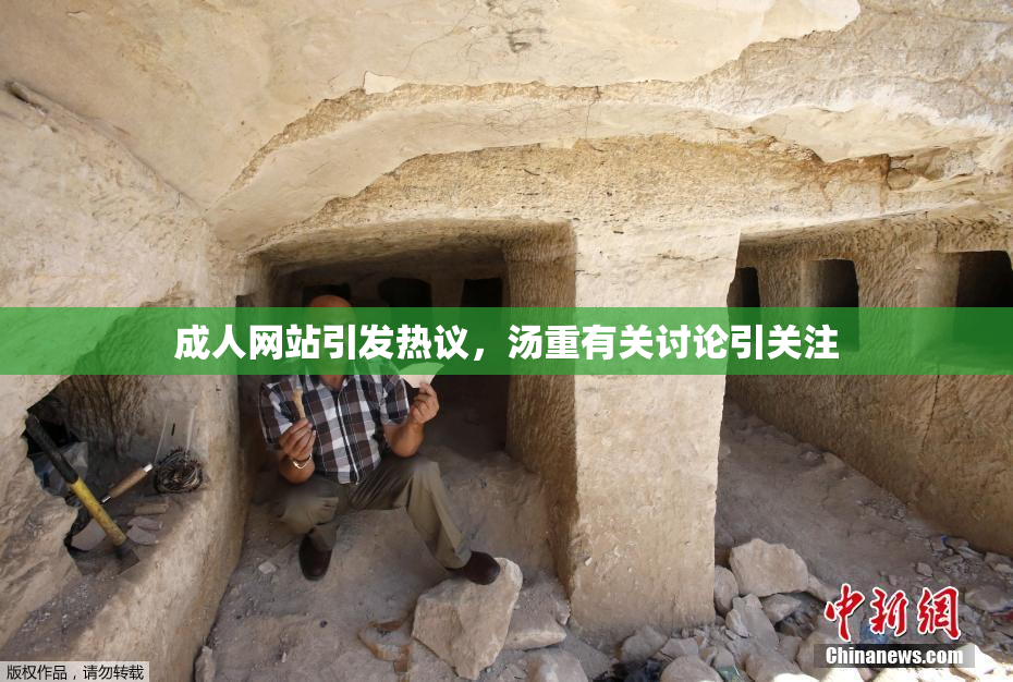 成人网站引发热议，汤重有关讨论引关注