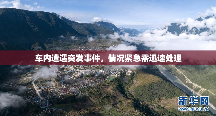 车内遭遇突发事件，情况紧急需迅速处理