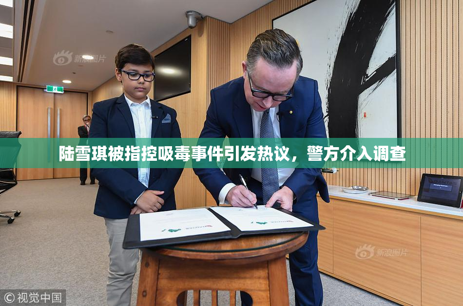 陆雪琪被指控吸毒事件引发热议，警方介入调查