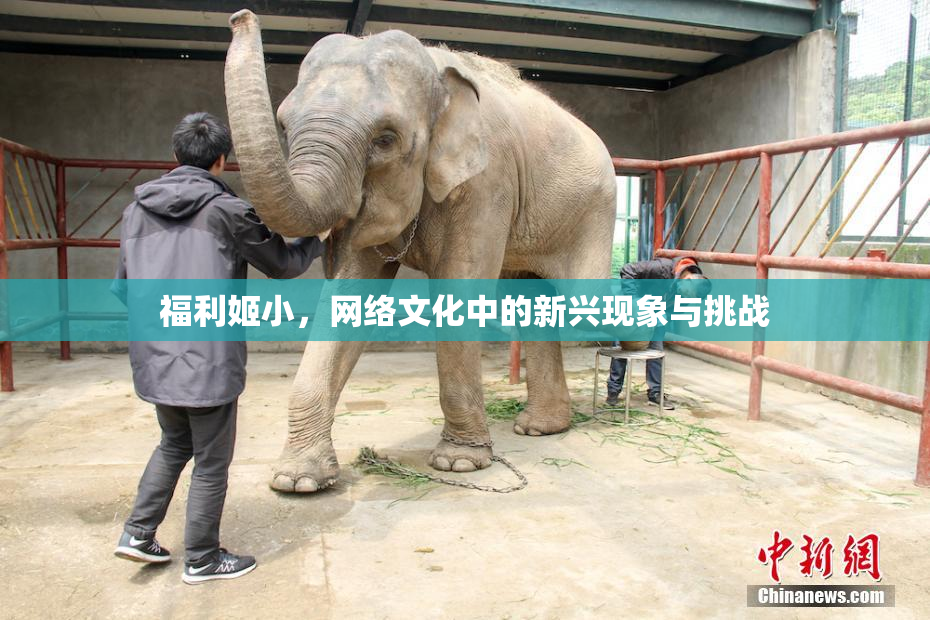福利姬小，网络文化中的新兴现象与挑战