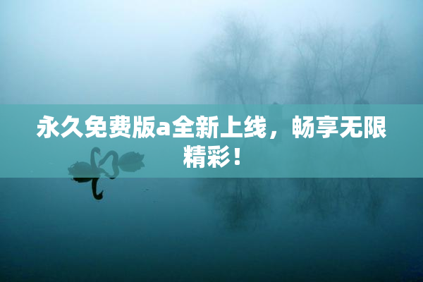永久免费版a全新上线，畅享无限精彩！