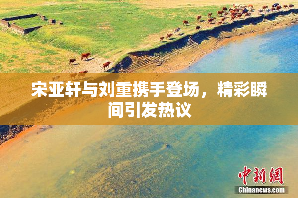 宋亚轩与刘重携手登场，精彩瞬间引发热议