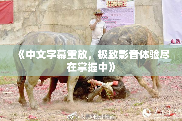 《中文字幕重放，极致影音体验尽在掌握中》