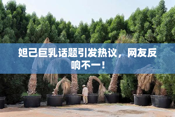 妲己巨乳话题引发热议，网友反响不一！