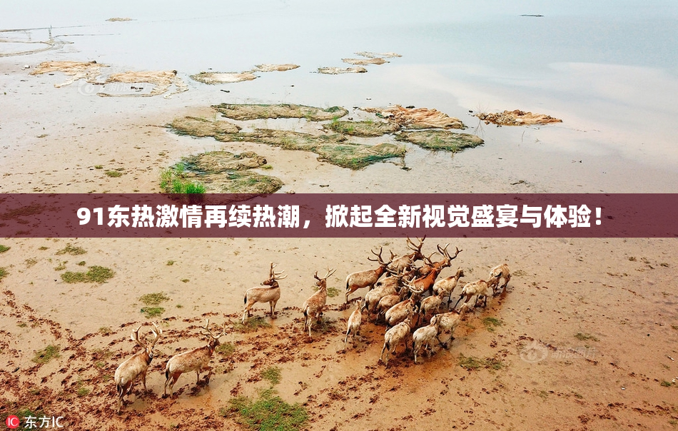 91东热激情再续热潮，掀起全新视觉盛宴与体验！