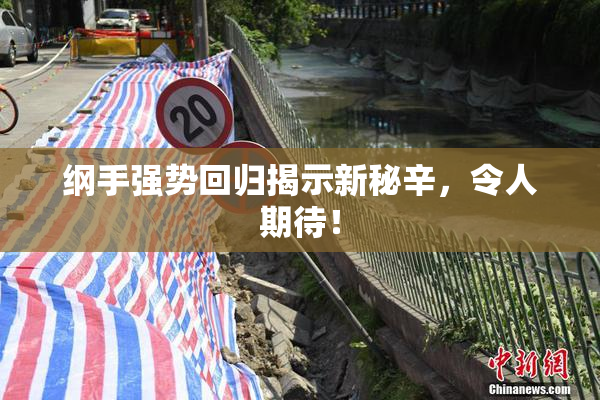 纲手强势回归揭示新秘辛，令人期待！