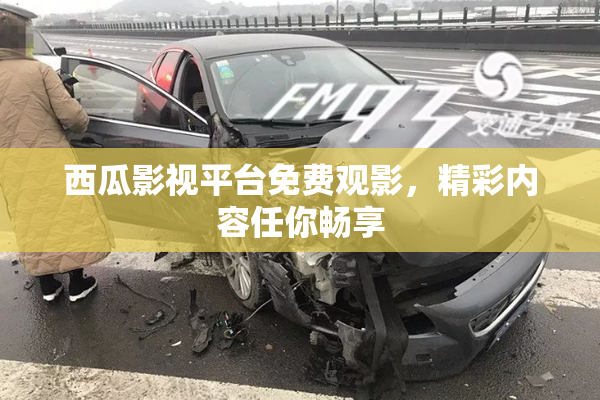 西瓜影视平台免费观影，精彩内容任你畅享