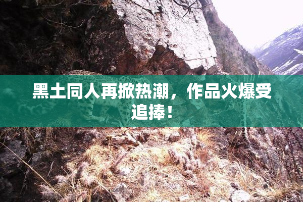 黑土同人再掀热潮，作品火爆受追捧！