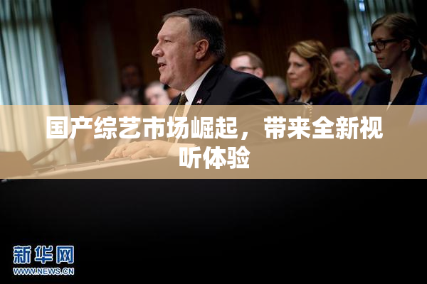 国产综艺市场崛起，带来全新视听体验