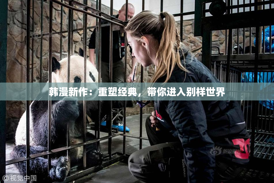 韩漫新作：重塑经典，带你进入别样世界