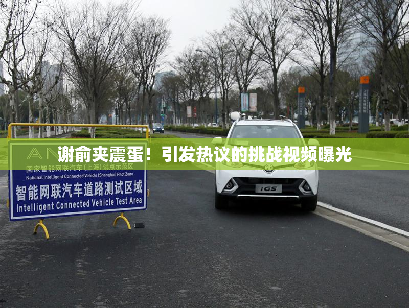 谢俞夹震蛋！引发热议的挑战视频曝光