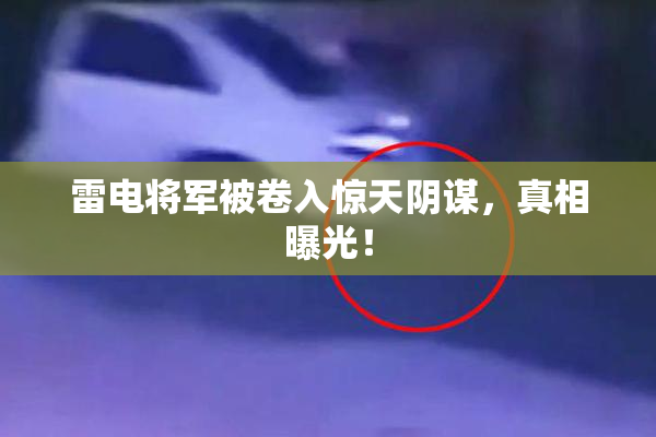 雷电将军被卷入惊天阴谋，真相曝光！