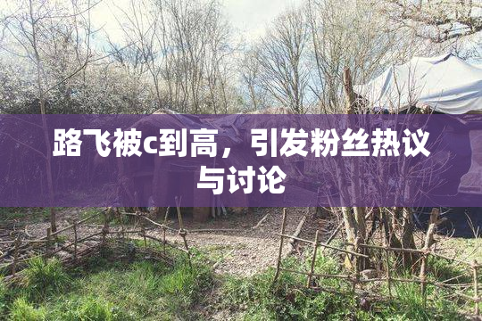 路飞被c到高，引发粉丝热议与讨论