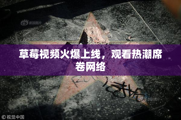 草莓视频火爆上线，观看热潮席卷网络