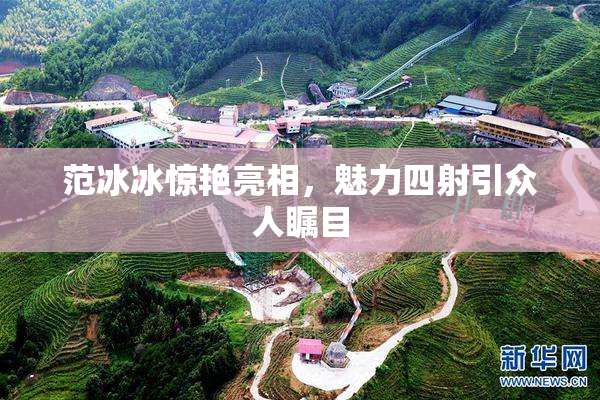 范冰冰惊艳亮相，魅力四射引众人瞩目