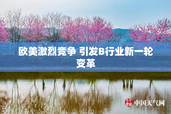 欧美激烈竞争 引发B行业新一轮变革
