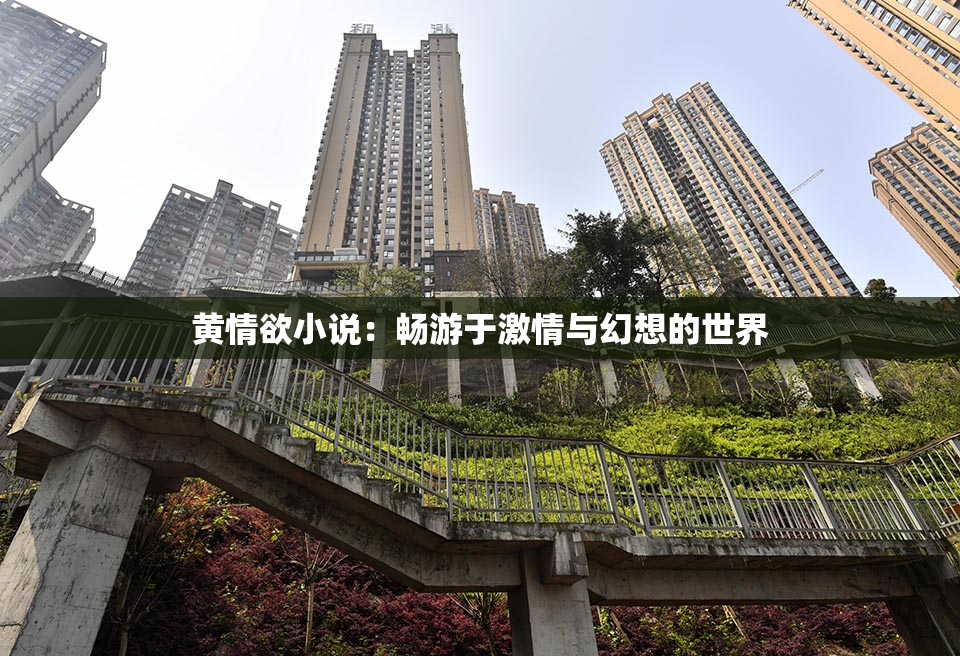 黄情欲小说：畅游于激情与幻想的世界
