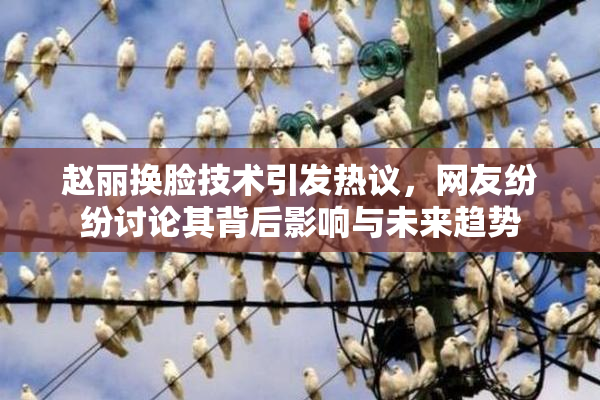 赵丽换脸技术引发热议，网友纷纷讨论其背后影响与未来趋势