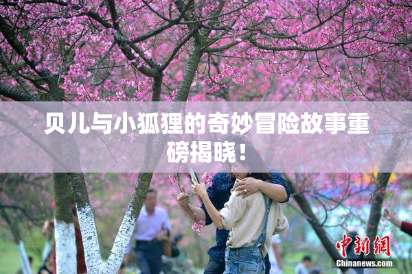 贝儿与小狐狸的奇妙冒险故事重磅揭晓！