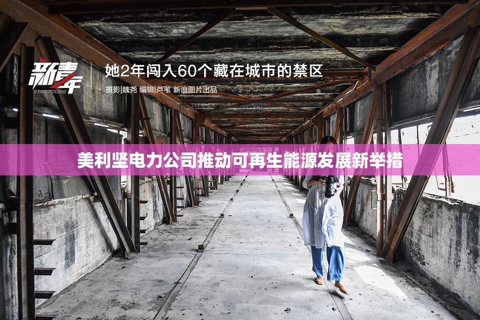 美利坚电力公司推动可再生能源发展新举措