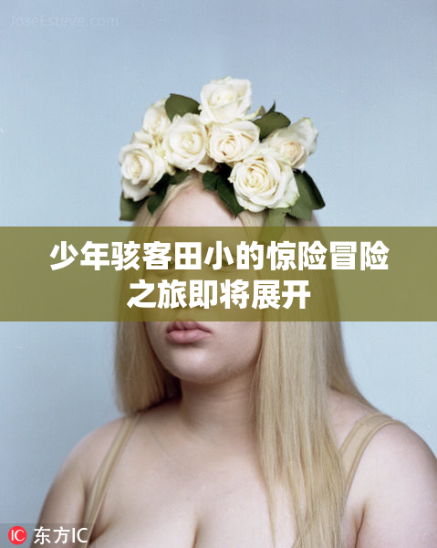 少年骇客田小的惊险冒险之旅即将展开