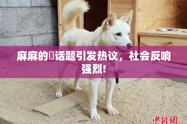 麻麻的婬话题引发热议，社会反响强烈!