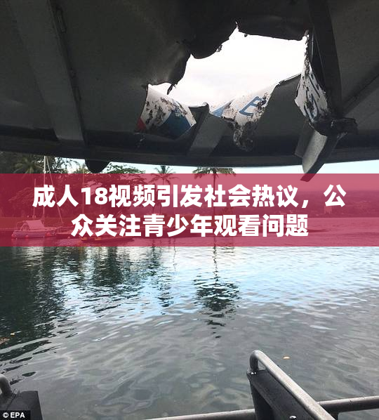 成人18视频引发社会热议，公众关注青少年观看问题