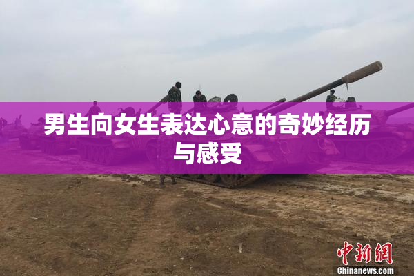 男生向女生表达心意的奇妙经历与感受
